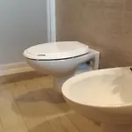 Bonsai 3*