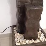Bonsai 3*