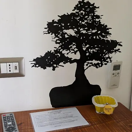 Bonsai Oda ve Kahvaltı