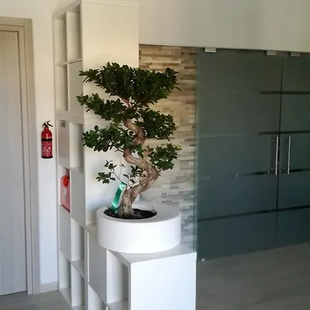 Oda ve Kahvaltı Bonsai