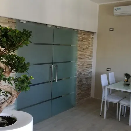Bonsai Fiumicino
