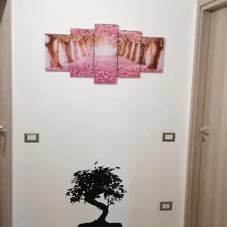 Bonsai 3*