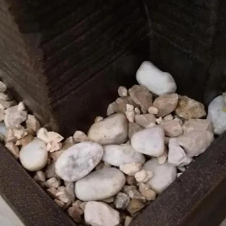 Bonsai 3* Fiumicino